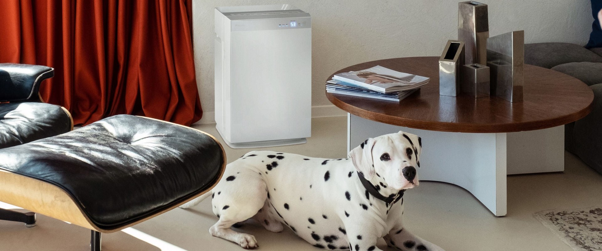 Are Electrostatic Air Filters Worth the Investment?
