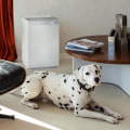 Are Electrostatic Air Filters Worth the Investment?